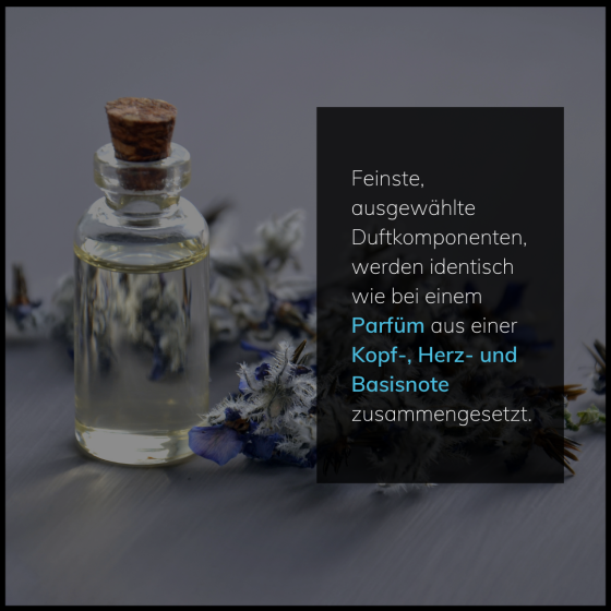 Der Duft des Erfolges: Warum Duftmarketing unverzichtbar ist