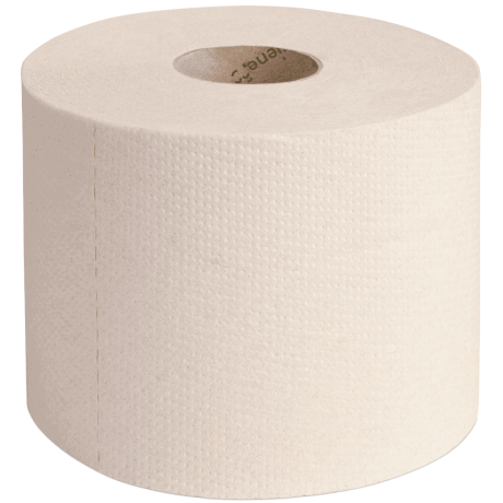  Öko-Toilettenpapier Kleinrollen Green Hygiene Recycling 2-lagig 500 Blatt