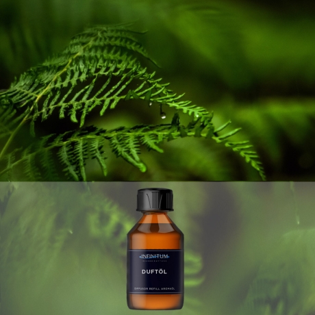 Deep Forest - Exquisite Room Fragrance von INFINITUM-eine klare und belebende Atmosphäre, wie sie auf einem  Waldspaziergang herrscht.
