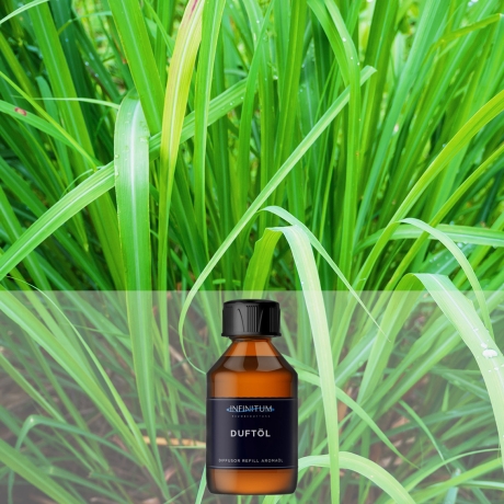 Lemongras - erfrischende Duftkomposition mit Zitrusnoten