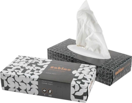 satino wepa Kosmetiktücher Prestige, 2-lagig, hochweiss 40 Boxen 