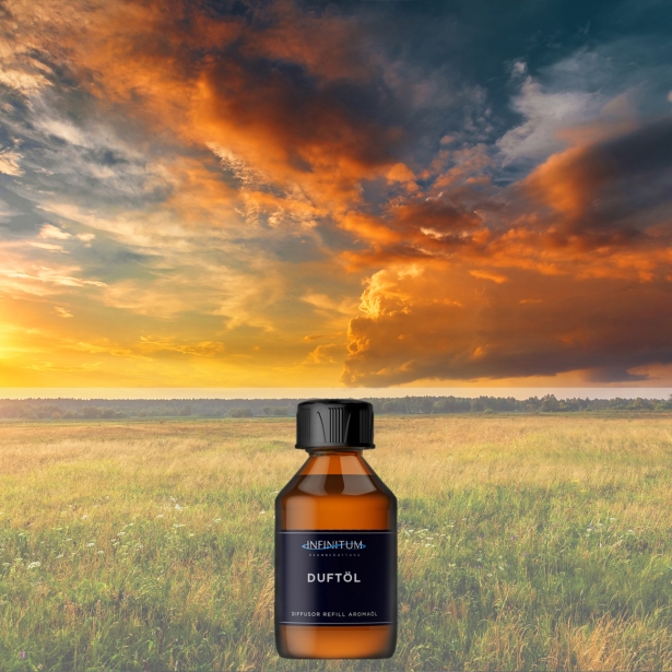 Power of Earth - Exquisite Room Fragrance Duft der lebendigen Erde 