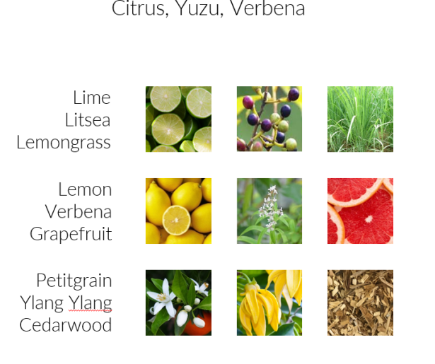 Yuzu Grass Duftöl Aromaöl