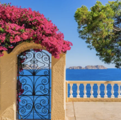 French Riviera Aromaöl eine frische Meeresbrise, Blauer Himmel, zarte Blüten und saftige Zitrusfrische 200 ml