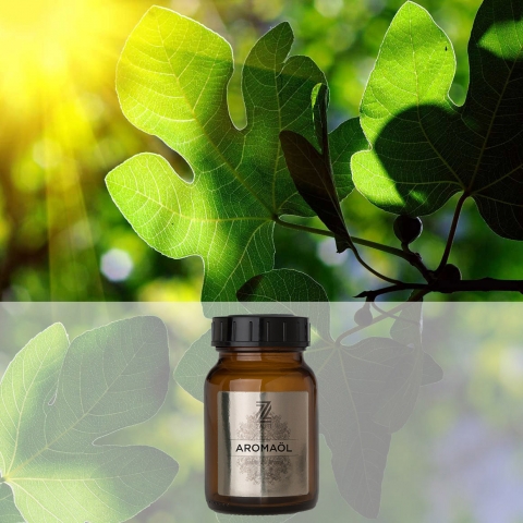 Fig Garden Raumparfum, Aromaöl 200 ml - Ein blumiger Duft aus Feige und grüner Note sowie einer erfrischenden Herznote