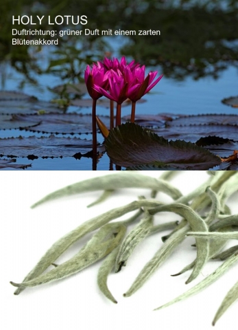 RELAX Holy Lotus -grünen Duft mit einem zarten Blütenakkord