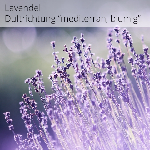 Lavendel - Raumduft Aromaöl Duftrichtung 