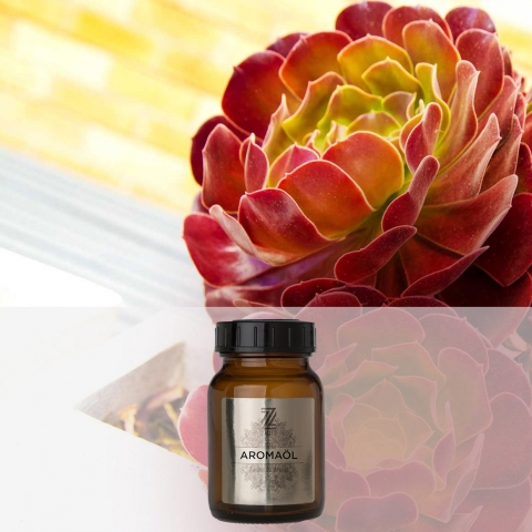 Velvet Beauty - Aromaöl, Raumparfum, Raumduft, Ambiance Aroma für Duftmaschinen