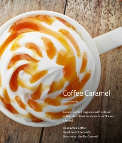 Coffee Caramel Duftmarketing Aromaöl 200 ml