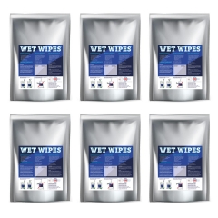 Wet Wipes 6 x 750 alkoholfreie Desinfektionstücher für Flächen und Geräte